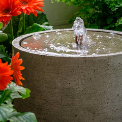 Campania Salinas Fountain, Low