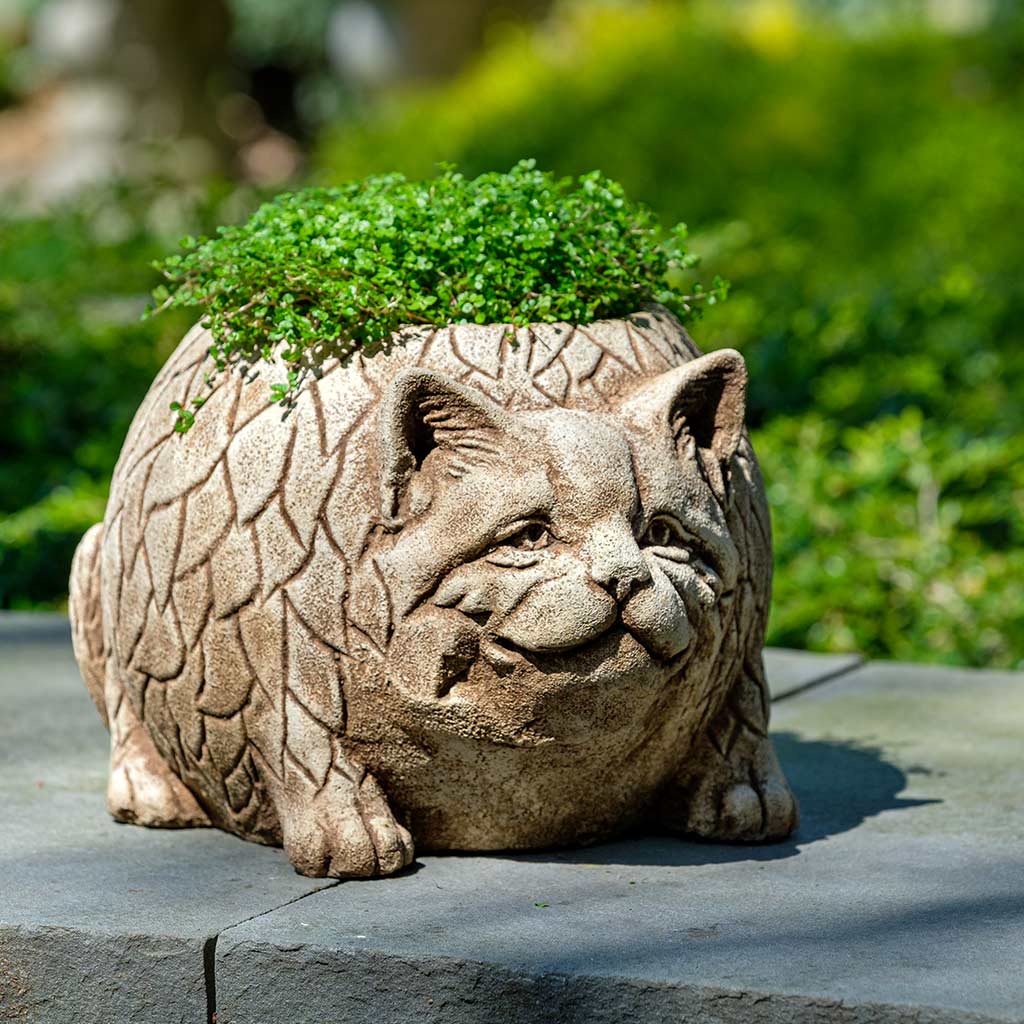 Campania Roly Poly Cat Planter