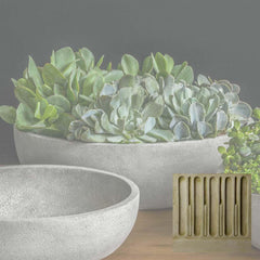 Campania Terrace Bowl