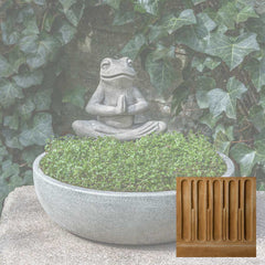 Campania Meditation Frog Planter