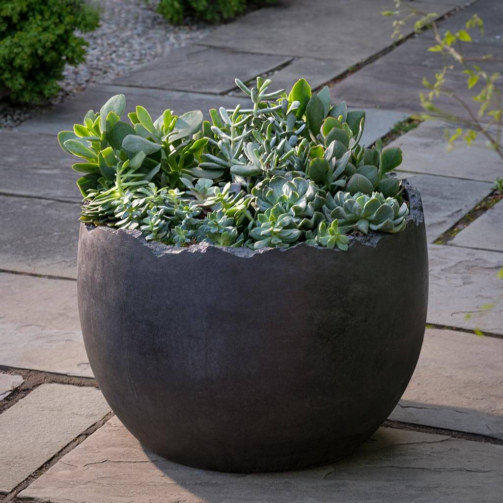 Photo of Campania Broken Egg Planter - Grade AA - Marquis Gardens