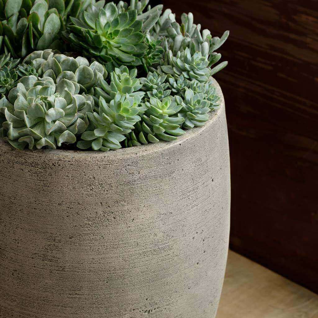 Campania Soma Planter