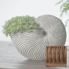 Campania Ammonite Planters