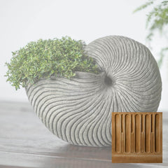 Campania Ammonite Planters