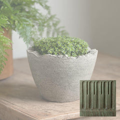 Campania Broken Egg Planter Mini