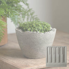 Campania Broken Egg Planter Mini