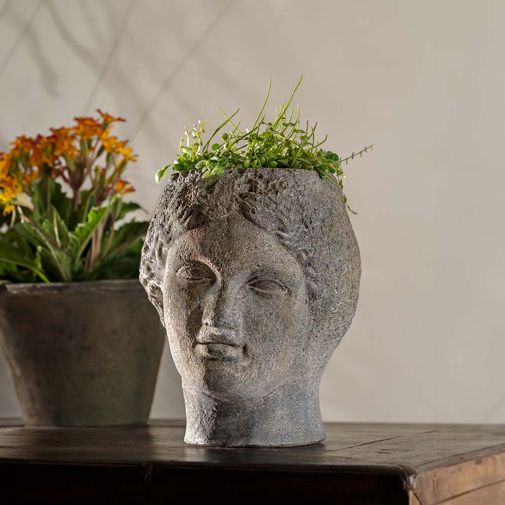Campania Flavia Planter