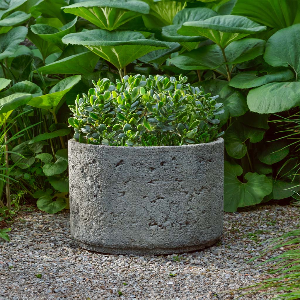 Campania Paros Planter
