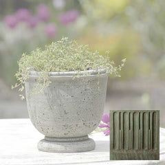 Campania Arles Planter