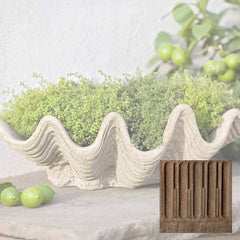 Campania South Seas Planter