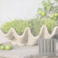 Campania South Seas Planter