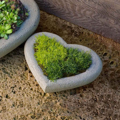 Campania Heart Planters