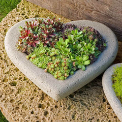 Campania Heart Planters