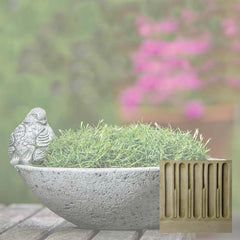 Campania Aurielle Planter