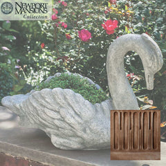 Campania Newport Swan