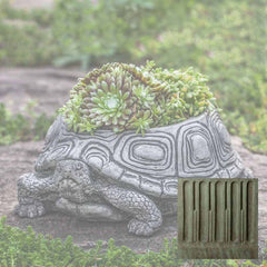 Campania Turtle Planters