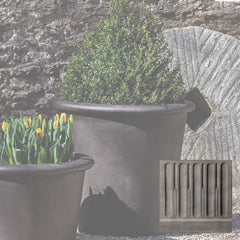 Campania Palo Alto Planters