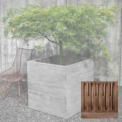 Campania Chenes Brut Planters