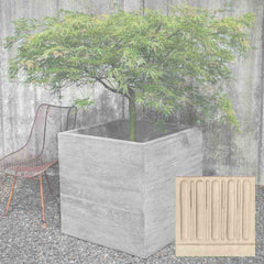 Campania Chenes Brut Planters