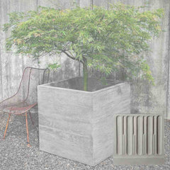 Campania Chenes Brut Planters
