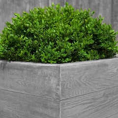 Campania Chenes Brut Tall Box Planter - Clearance