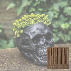 Campania Skull Planter