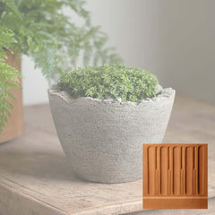 Campania Broken Egg Planter Mini