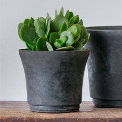 Cloche Planter - Extra Small - Charcoal