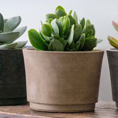 Cloche Planter - Extra Large - Charcoal