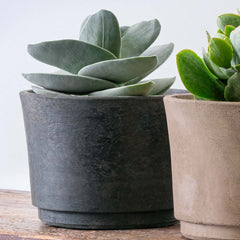 Cloche Planter - Extra Small - Charcoal
