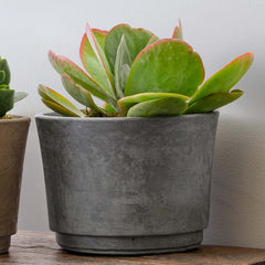 Cloche Planter - Extra Large - Charcoal