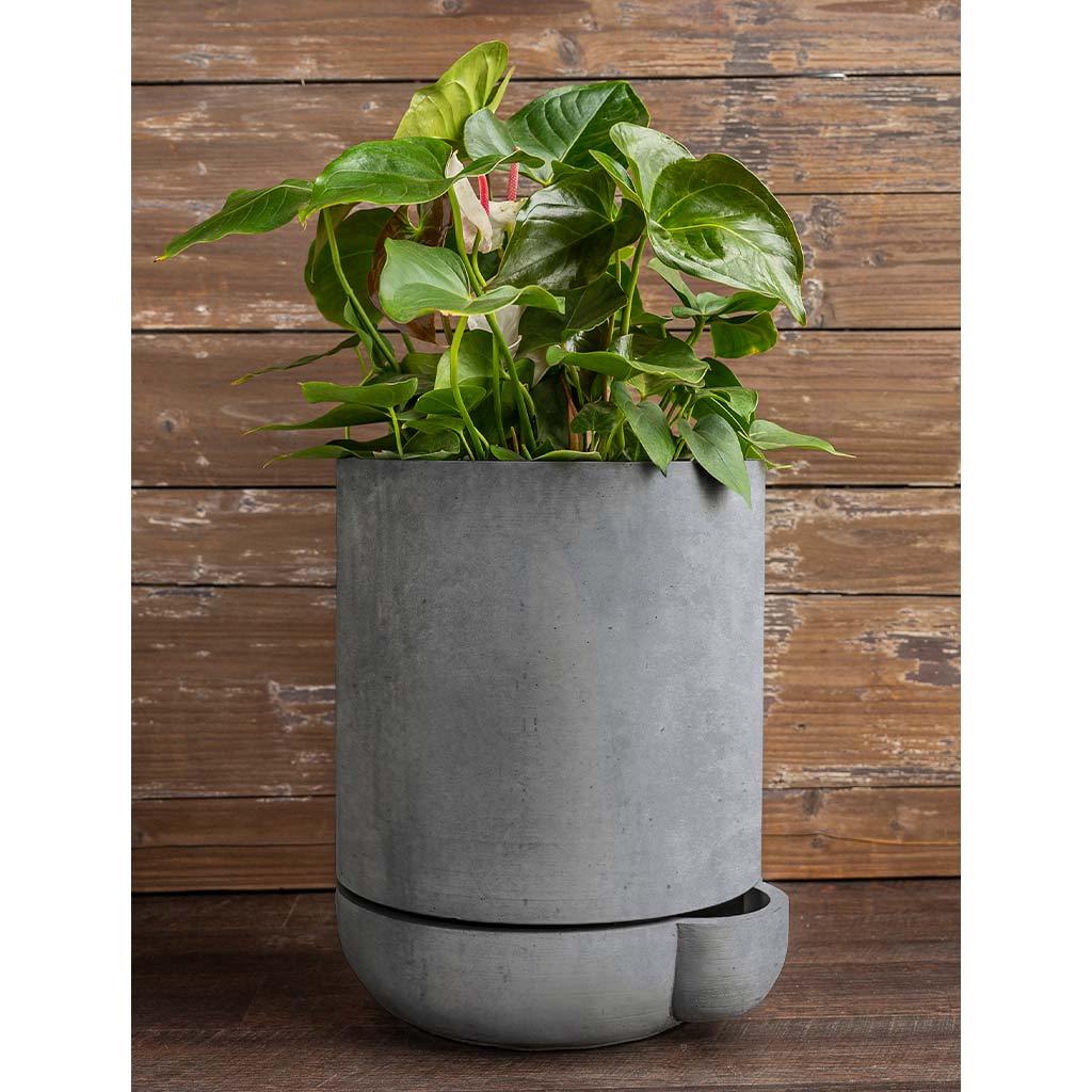 Campania The Simple Pot