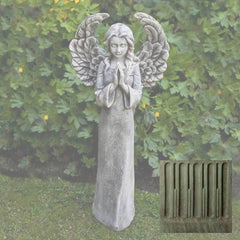 Campania Fiona's Angel