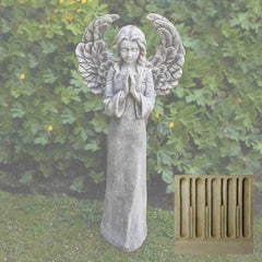 Campania Fiona's Angel