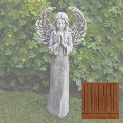 Campania Fiona's Angel