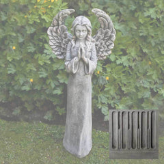 Campania Fiona's Angel