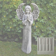 Campania Fiona's Angel