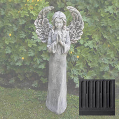 Campania Fiona's Angel