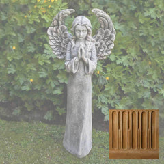 Campania Fiona's Angel
