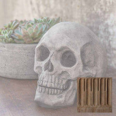 Campania Alas Poor Yorick