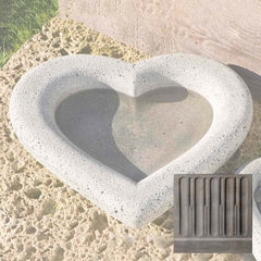Campania Heart Shell