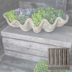 Campania South Seas Shell Planter - Large