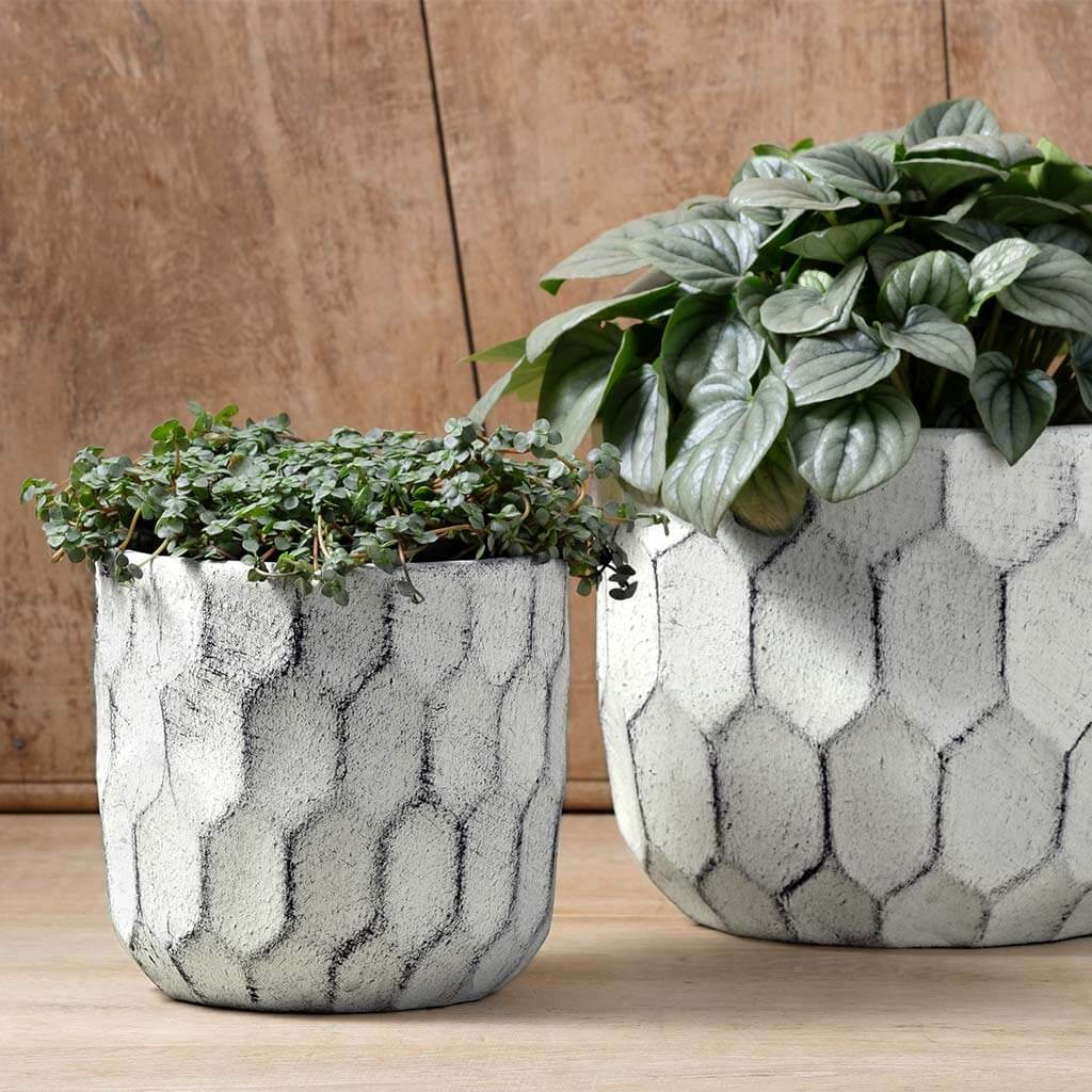 Photo of Campania Polygon Planter Set of 8 - Exclusively Campania