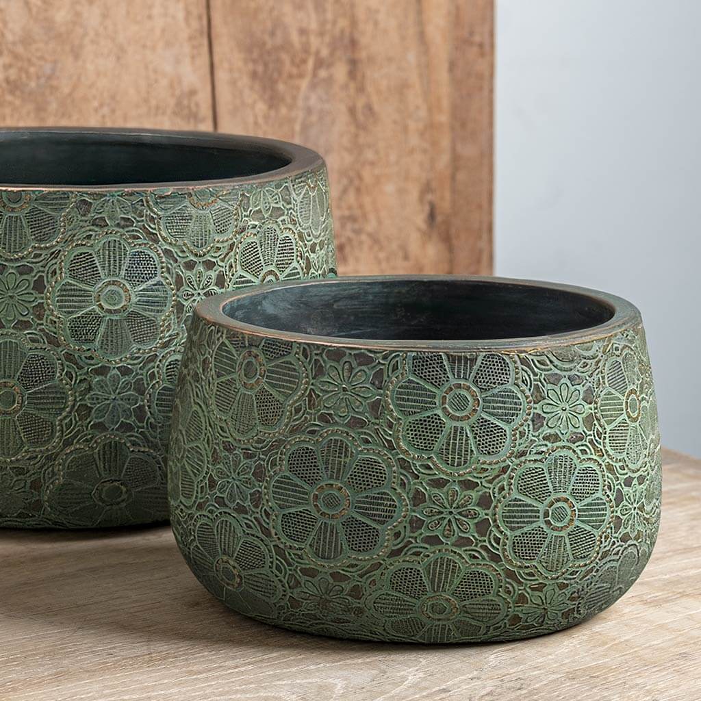 where to buy plant pots Campania Etched Daisy Planter Set of 4 Green with Bronze