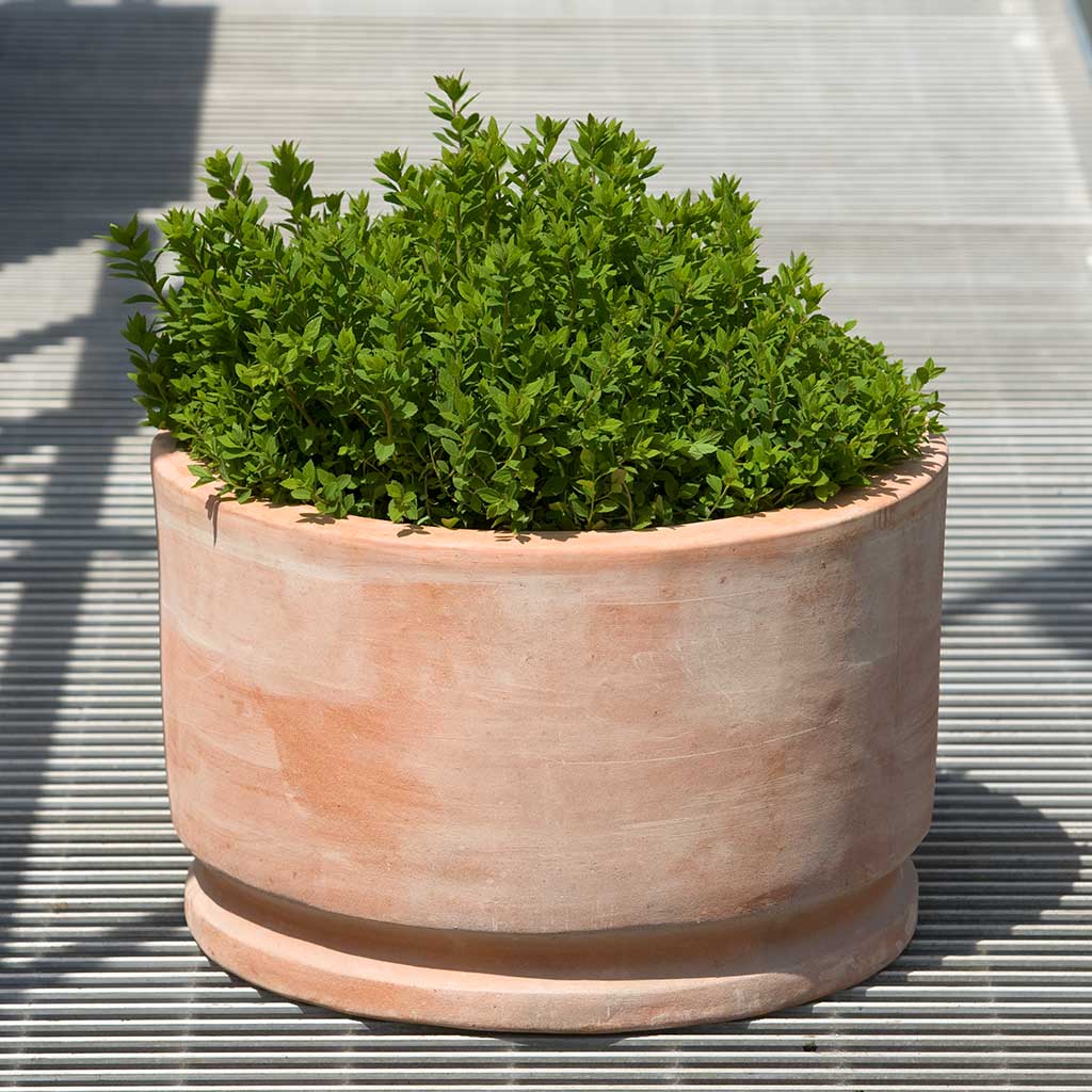 Photo of Campania Amelie Planter - Terra Cotta - Set of 2 - Exclusively Campania