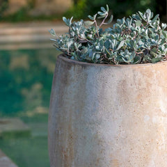 Photo of Campania Lacoste Planters - Exclusively Campania