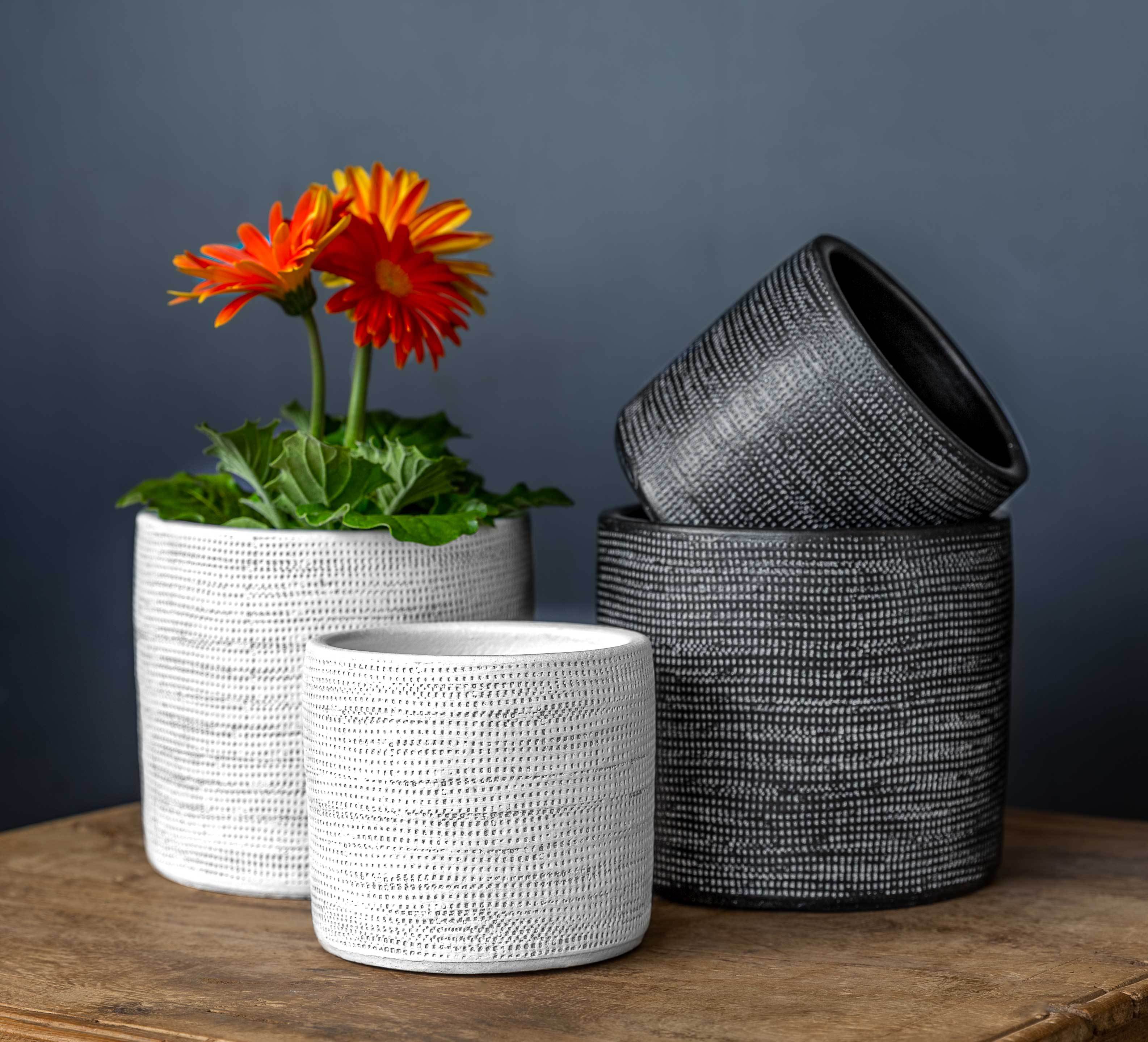 Photo of Campania Linen Weave Cylinder - Black and White Mix - Set of 8 - Exclusively Campania