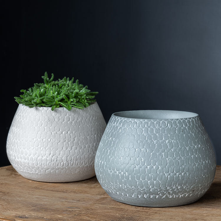 Photo of Campania Scalloped Bowl and Planter - Grey and Eggshell Mix - Set of 8 - Exclusively Campania