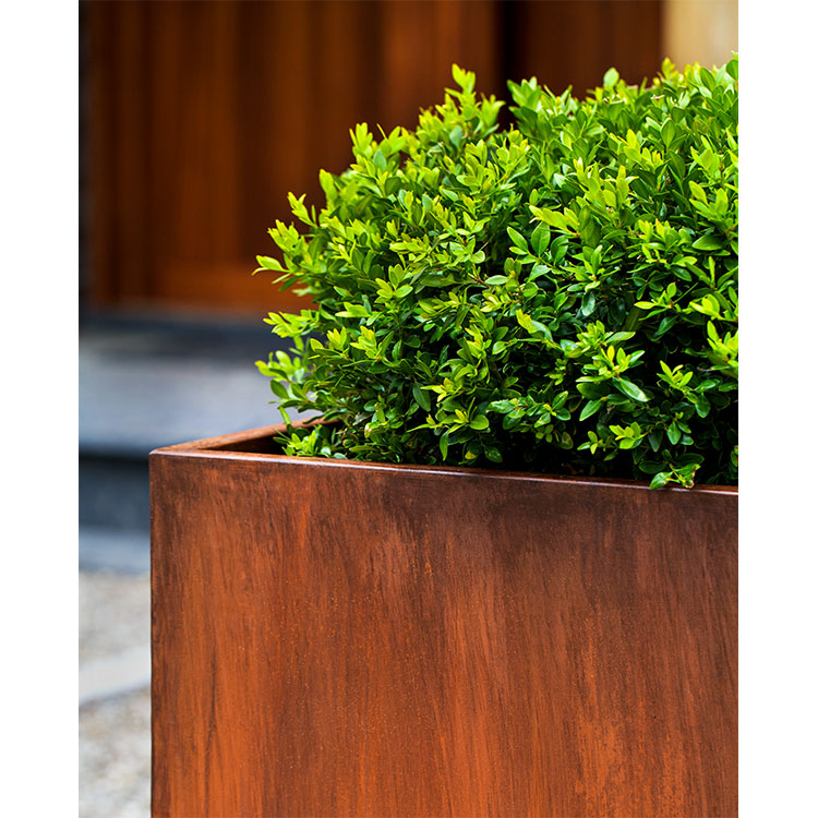 Photo of Campania Steel Tall Cube Planter - Steel - Set of 2 - Exclusively Campania