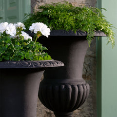 Photo of Campania Glasgow and Tall Wickford Urns - Exclusively Campania